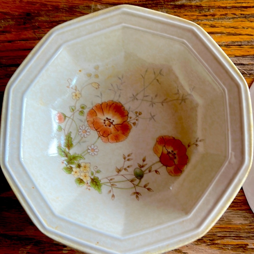 2 Vtg Mikasa Avante FE 906 Terrace Stoneware Floral Salad Soup Bowl Japan